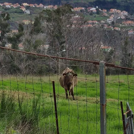 Glamping Pods - Nature Retreat Роскошный шатер Кальета