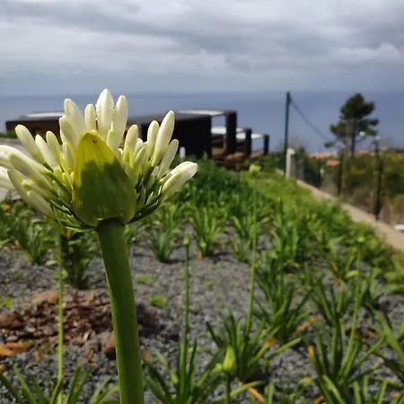 Calheta Glamping Pods - Nature Retreat