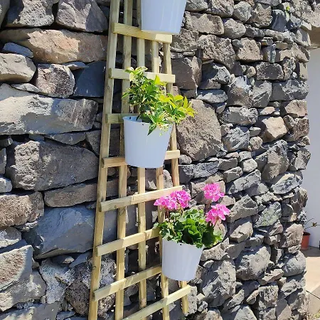 Glamping Pods - Nature Retreat