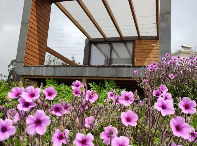 Glamping Glamping Pods - Nature Retreat *