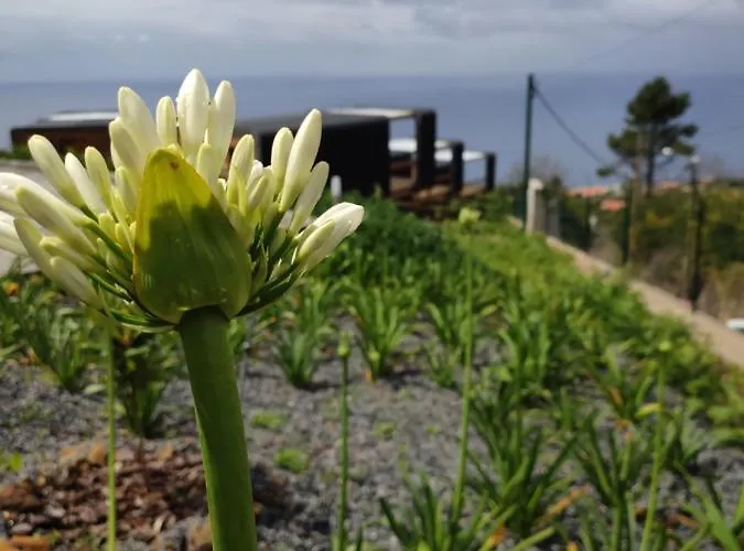 Glamping Pods - Nature Retreat