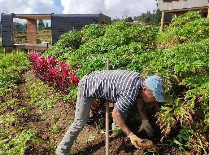 Glamping Pods - Nature Retreat * Calheta