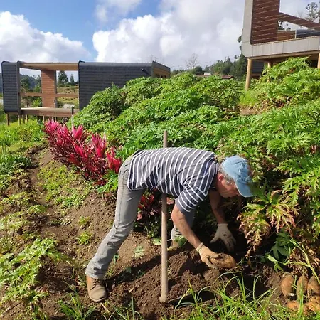 Glamping Pods - Nature Retreat * Calheta (Madeira)