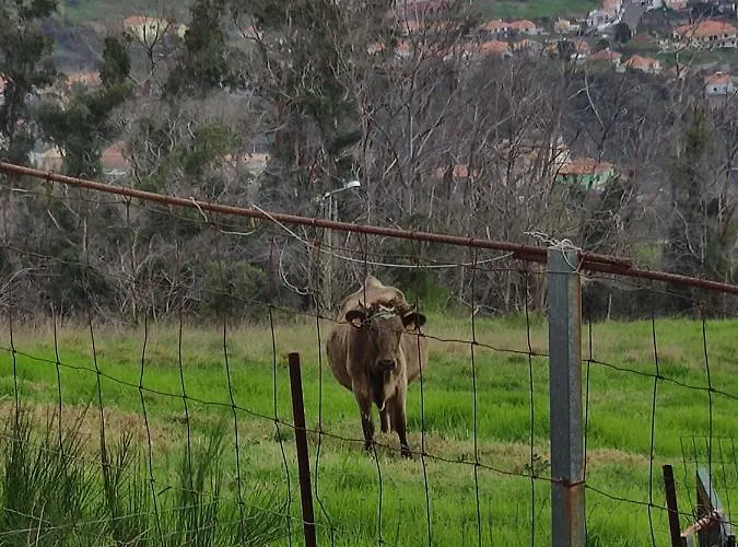 Glamping Pods - Nature Retreat Luxusní stan Calheta (Madeira)