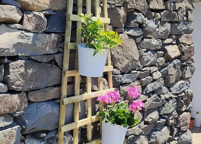 Glamping Pods - Nature Retreat