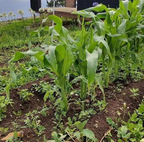 Luxury tent Glamping Pods - Nature Retreat *